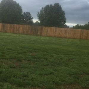 Meet your Posher, Carolyn